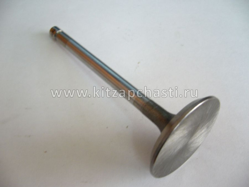 Клапан впускной HAVAL DARGO 1007011AEN01