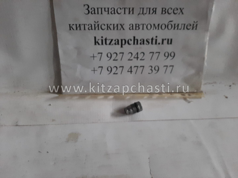 Клапан редукционный сброса давления топлива (рампы) Валдай Cummins Евро 3 дв. ISF 3.8  1110010015LS