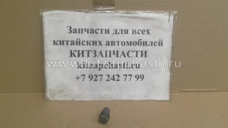 Клапан редукционный сброса давления топлива (рампы) Валдай Cummins Евро 3 дв. ISF 3.8  3974093